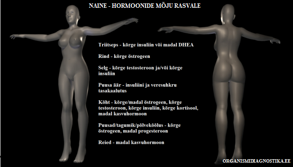 naine rasv hormoonid